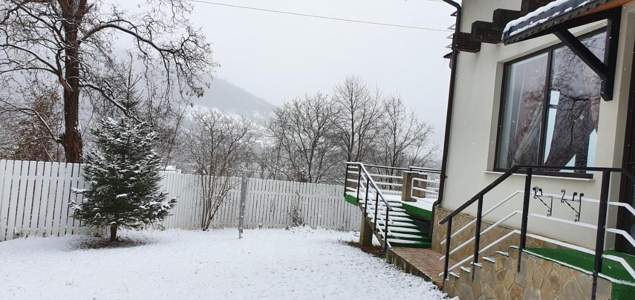 Casa Yla Villa Piatra Neamţ Екстериор снимка