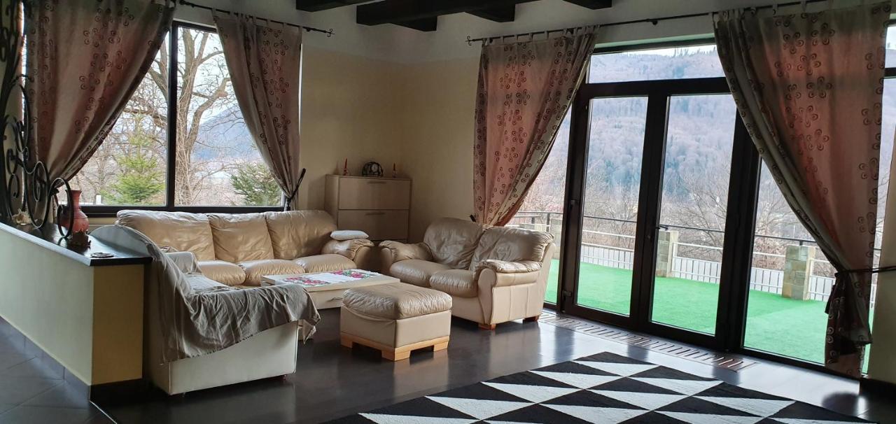 Casa Yla Villa Piatra Neamţ Екстериор снимка