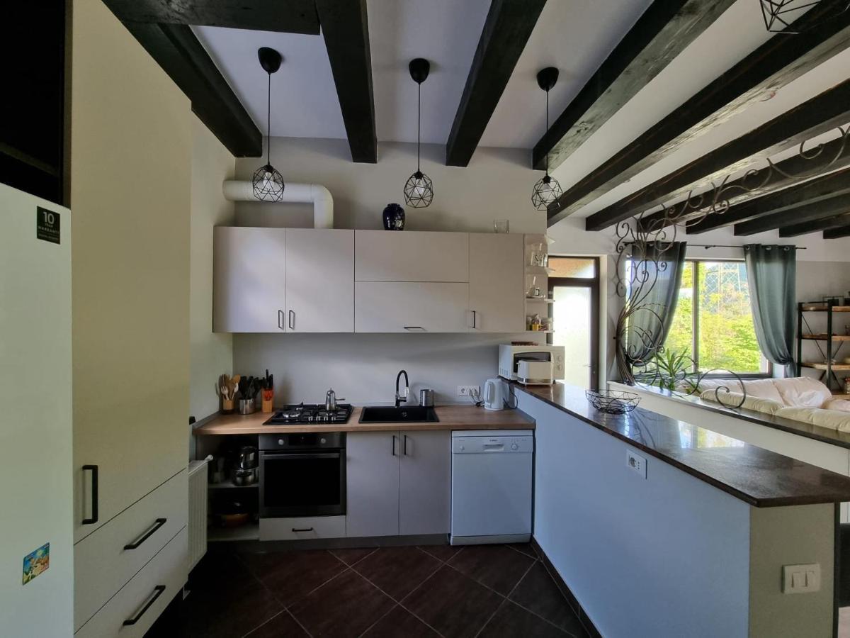 Casa Yla Villa Piatra Neamţ Екстериор снимка