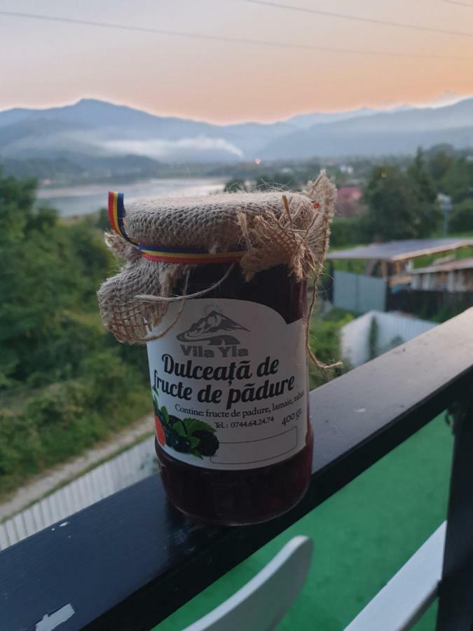 Casa Yla Villa Piatra Neamţ Екстериор снимка