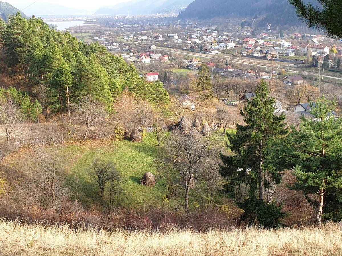 Casa Yla Villa Piatra Neamţ Екстериор снимка